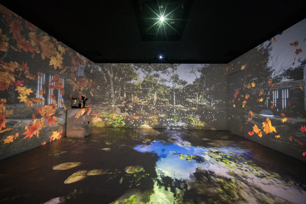 Visual Display & Presentation Systems